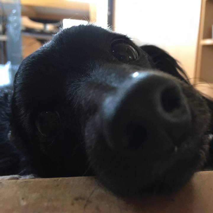 Bc7f6ae4 e3e7 4f6c b141 6b360203938c