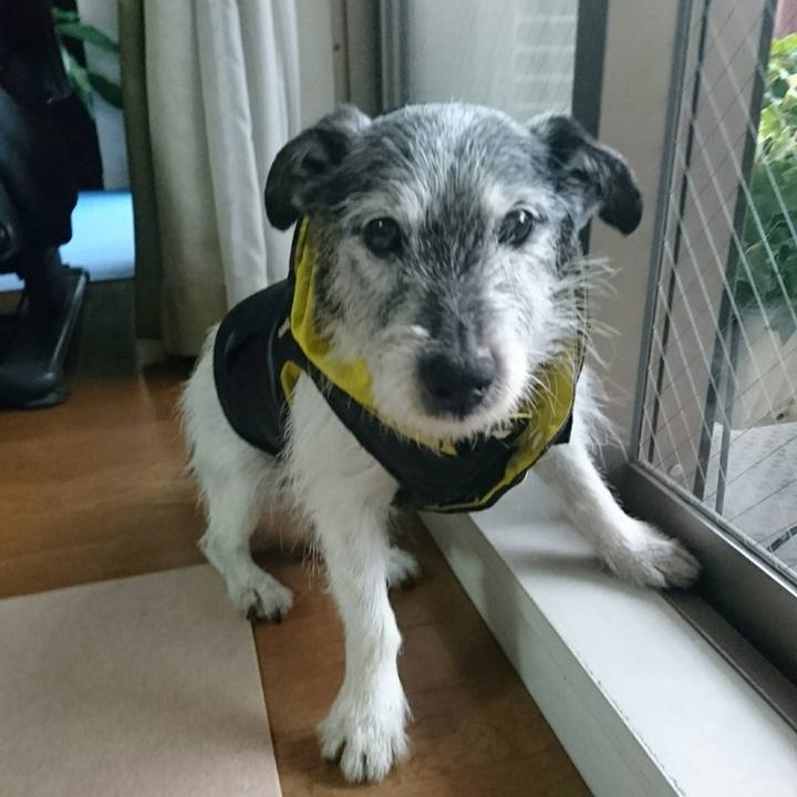 Bc7fce88 c6fb 456e 9ac1 d47a6c1636bb