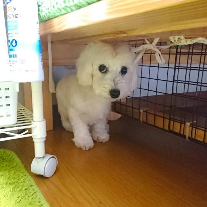 Bc801d1f 85a6 44c6 af13 29f32967d4f9