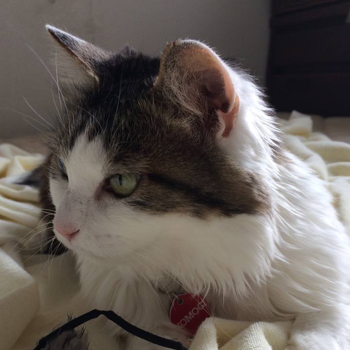 Bc802862 1b87 4e57 b546 aa67345e07fd