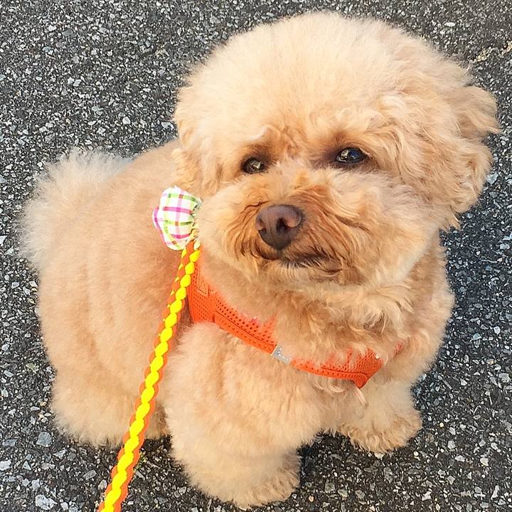 Bc80551d 8163 4c94 8c50 58c5c058533d