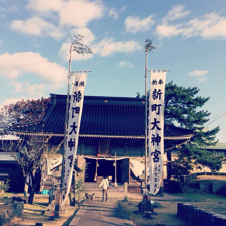 Bc81584c 1234 4eb7 afa6 a96a90cbe3d0