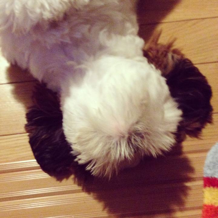 Bc8193ec 1c19 44d5 8499 be314671b968