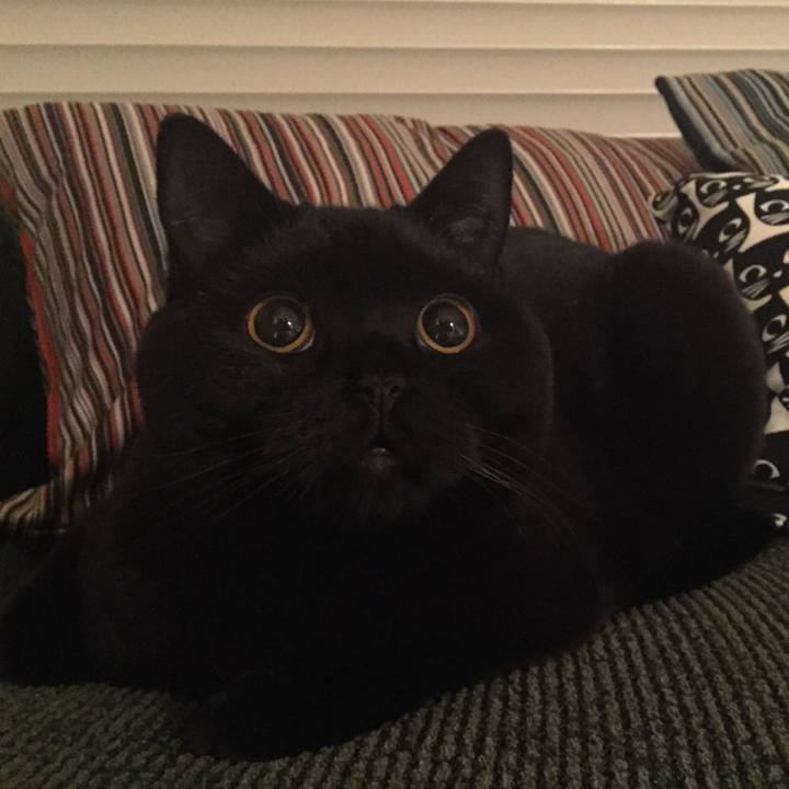 Bc827e38 12b5 461a a9a2 b95f6c1266c3