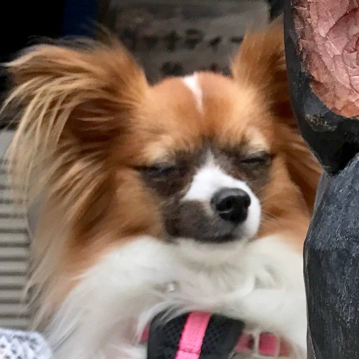 Bc83edd3 70da 4573 9802 f0c3fe10400c