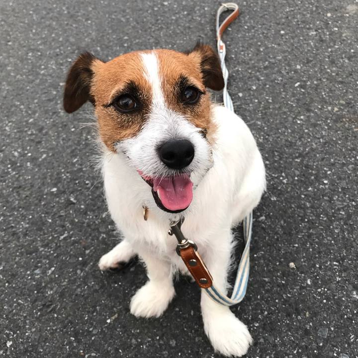 Bc849b6d 3886 4e04 a8a1 eb70f8f47528