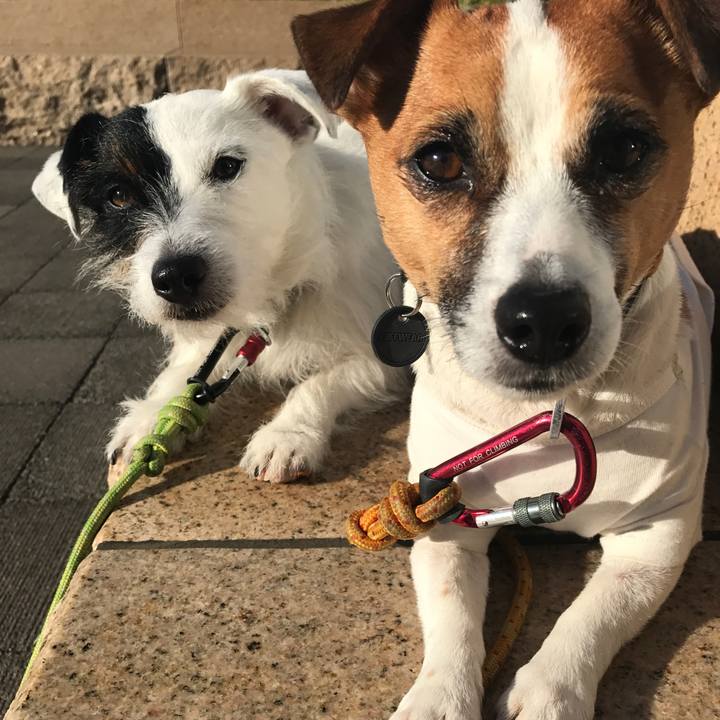 Bc84aaa7 7d2b 4735 9bfe 3e20f51253b6