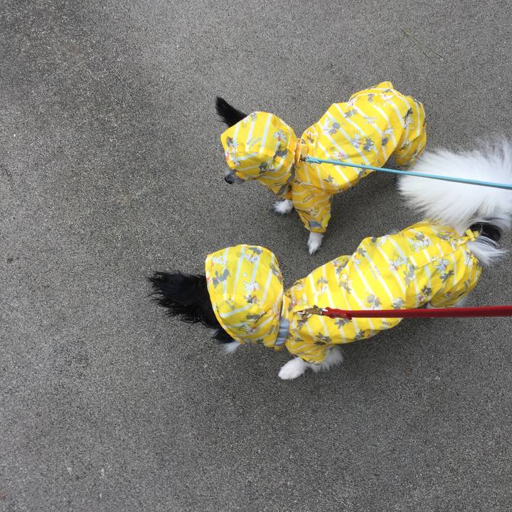 Bc85784b a20c 4ab3 8843 0acf5bd89dba