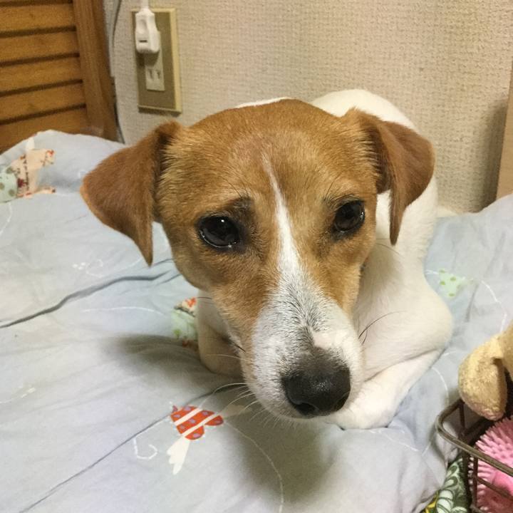 Bc87de00 0f56 4696 ab60 dc0a2bfba5f7