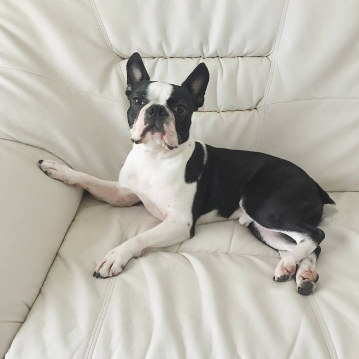 Bc87dfa2 fec8 4048 aa85 d03f9c33481b