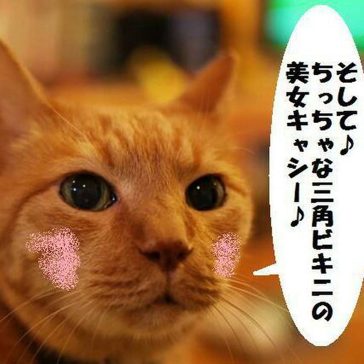 Bc882644 d2de 4a24 91f1 efcd3a1e9dfe