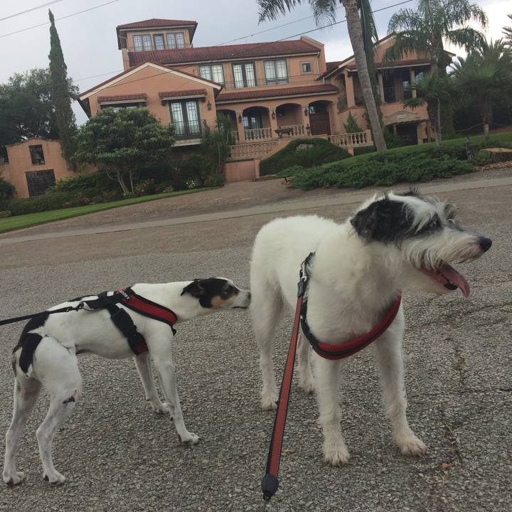 Bc887a70 e921 4c94 bd3a 1fea8e1bf3af