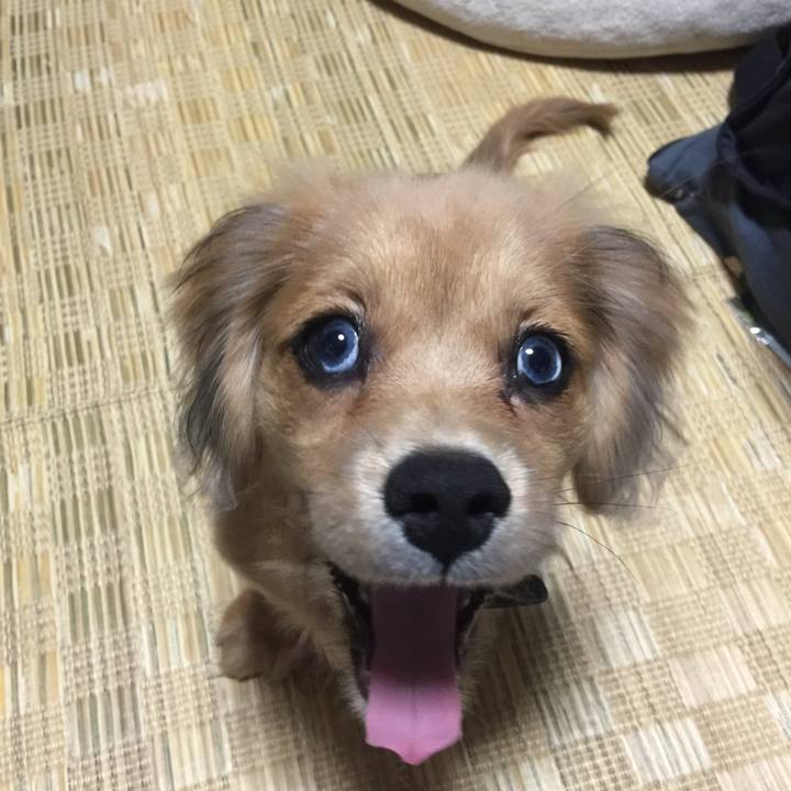 Bc88a6bf 8098 42ca 8a94 633896e634a1