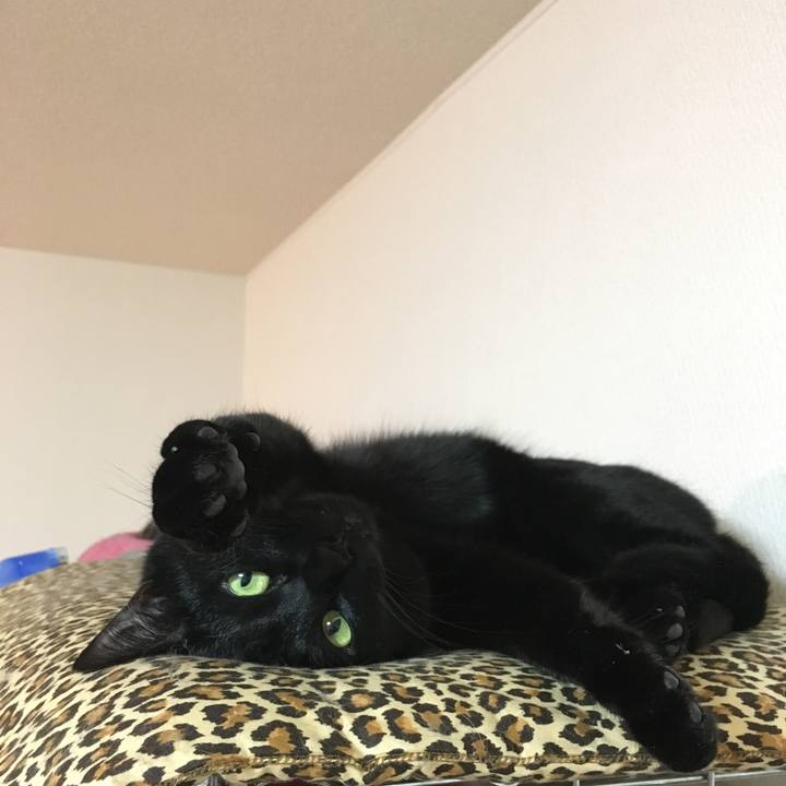 Bc890b75 9b64 4ce4 80b8 cc1e356e1024