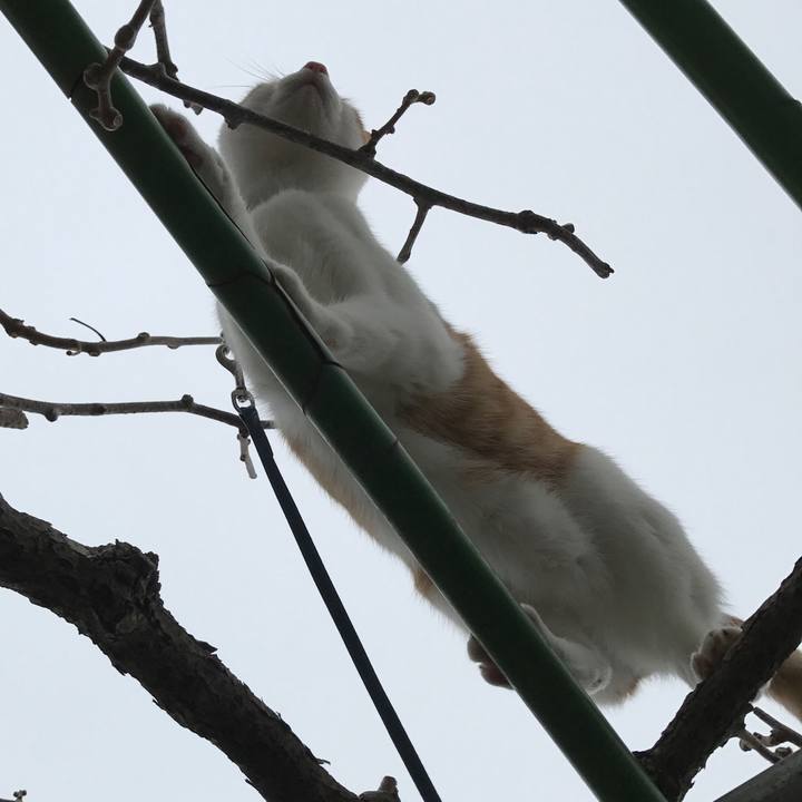 Bc893361 7a65 422f b5b2 521f63f3f50a