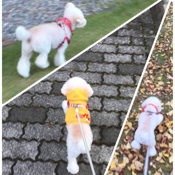 Bc89b61a 4d97 49ec 8e90 47d153b1959d