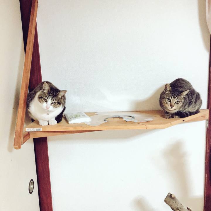 Bc8a61b4 d509 489a 9c90 e5a7c3be083b