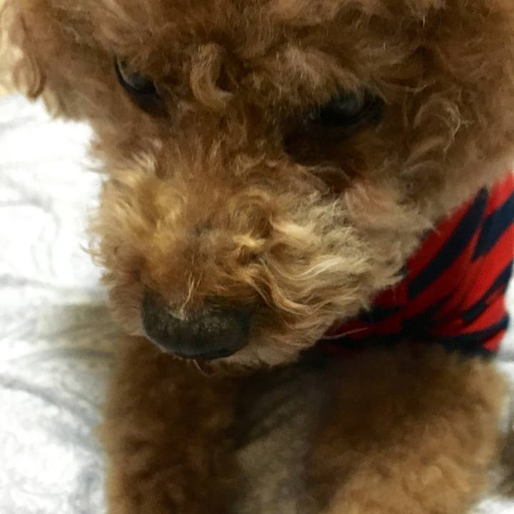 Bc8b25fb 2a5d 4fc2 846e 7de27f0c637d