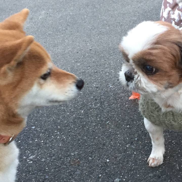 Bc8b6cd5 d96a 47d3 8044 c911631d8cc7