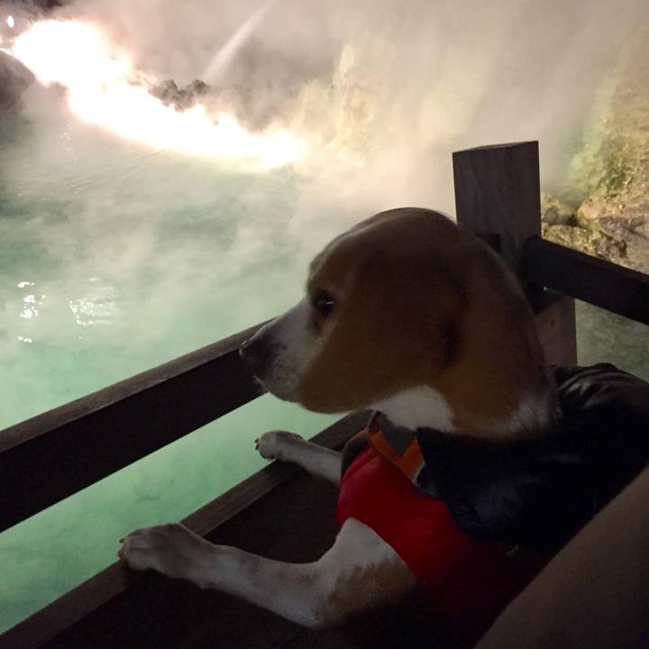 Bc8b9c37 3e36 4062 8861 c6c139e8c0d8