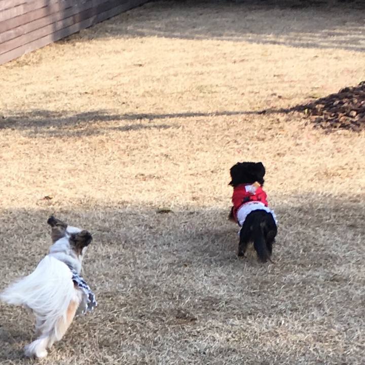 Bc8c59e4 f147 4e50 8b18 ec8eea4e70f1