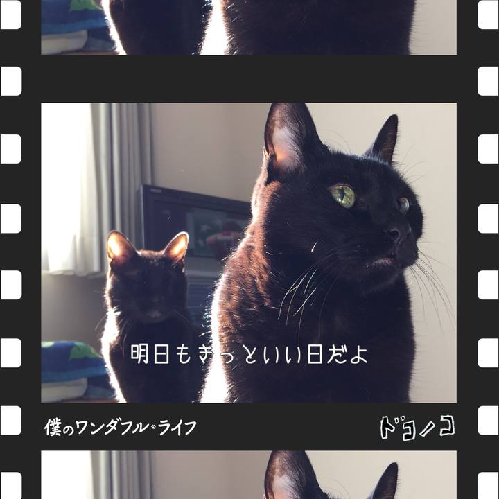 Bc8e3ca8 2549 4b71 9398 09ee1a5fb91e