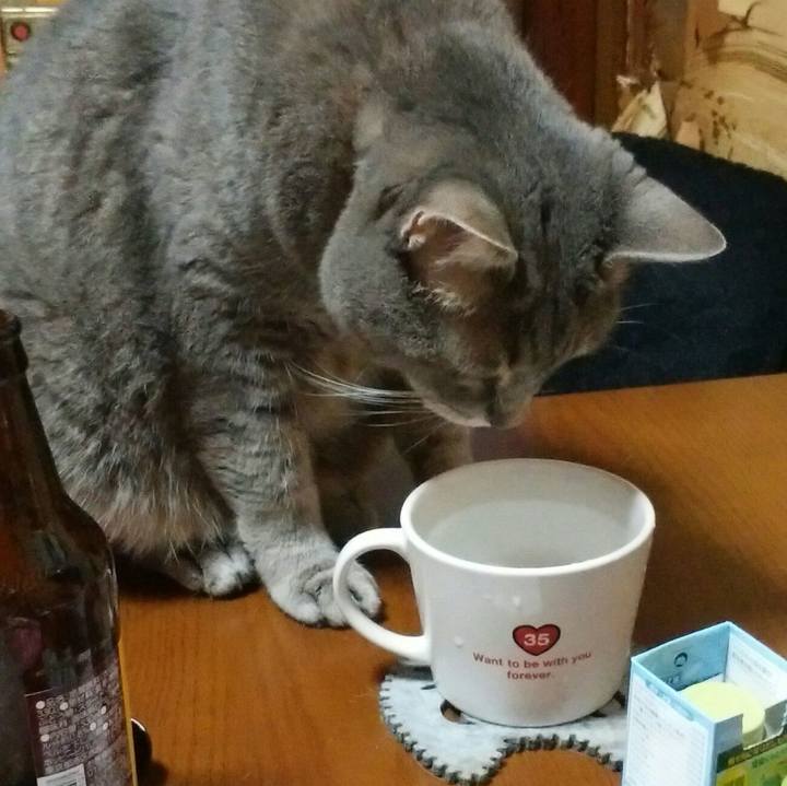 Bc8e6c33 d3ae 4ff0 81f5 9ecc5e754078