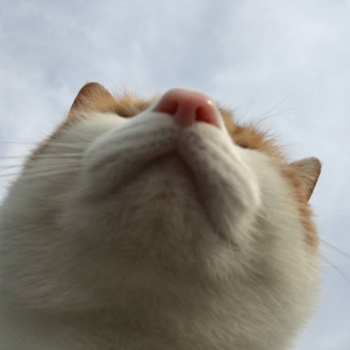 Bc8eac26 e141 47b9 bded 4c3d9bcaffa0