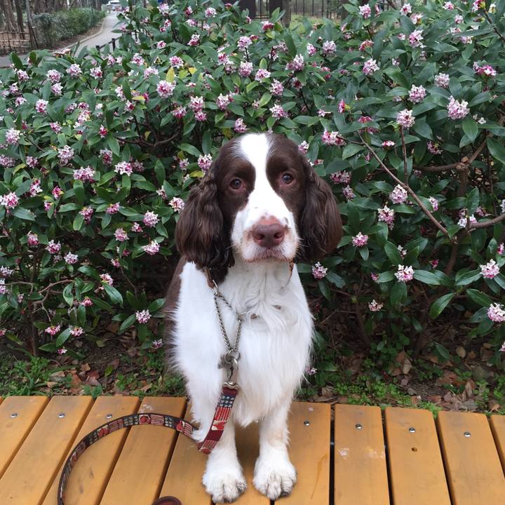 Bc8ed2aa ee83 4ef6 a144 56832f67616a