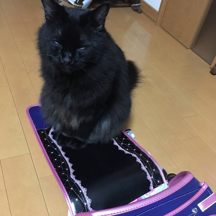 Bc8eef84 6461 49d1 95a4 9454c8347770