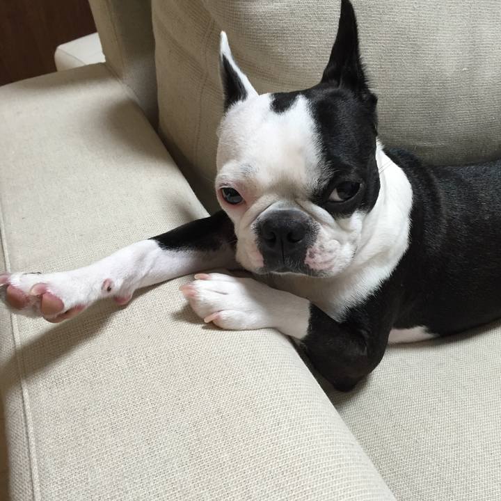 Bc8f0544 fa79 4bbf 952b 8b16a3ebb656