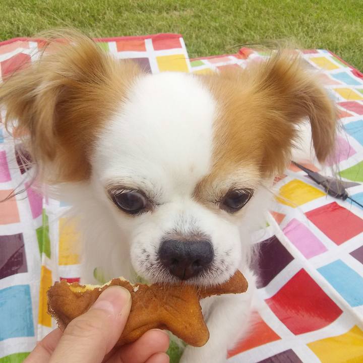 Bc8f62ef 1157 42d9 921f c32cff09b3b4