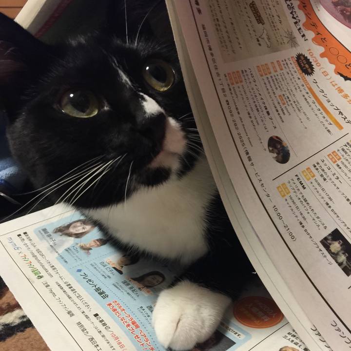 Bc8f82e6 774e 4c4b b957 7e5a3eeb122d