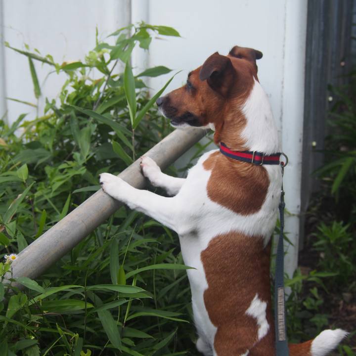 Bc90563a 2d80 4464 bbed 49510cd3ec64