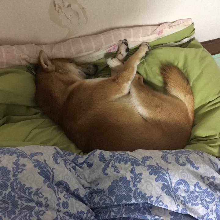 Bc905731 900e 44f5 9c08 2df5b3254acf