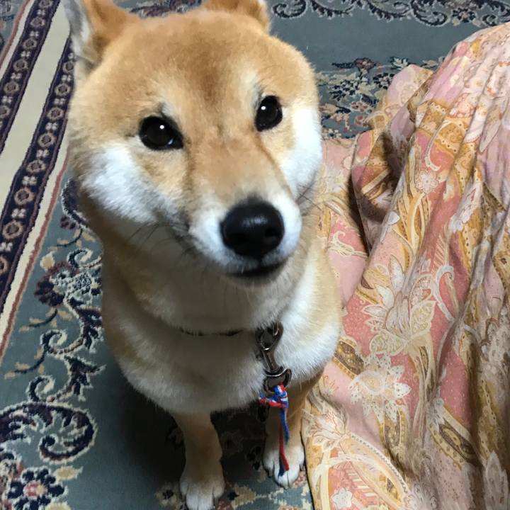 Bc9093f9 8346 4896 9edd 5e4dca3719ab