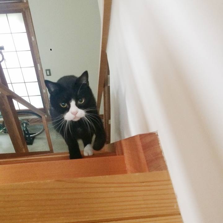 Bc90b706 099c 4bca b2fc 738b7d531a9a