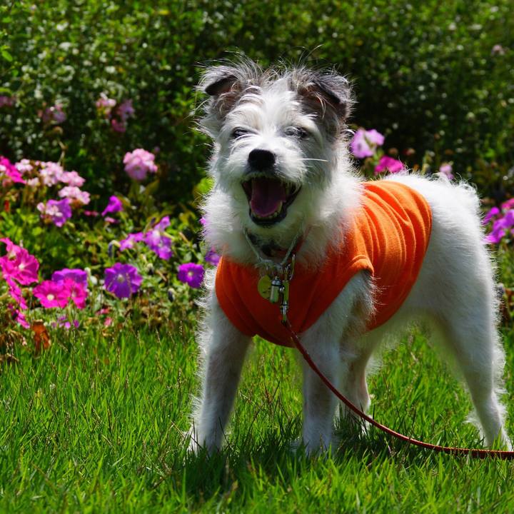 Bc918335 9ecb 4f79 8b58 6c367dcd1e39