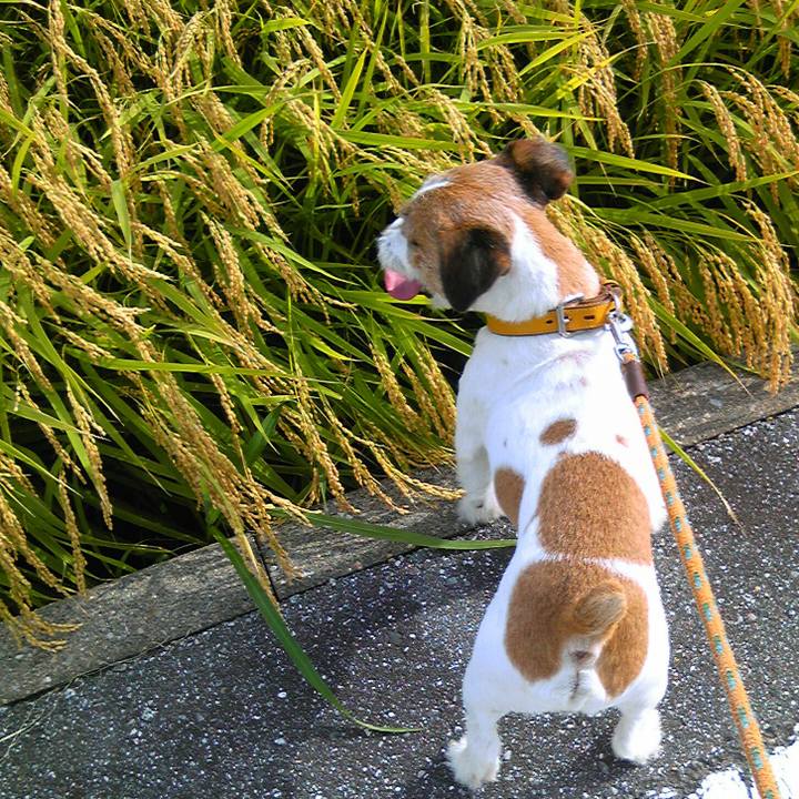 Bc9197d6 2e46 4e53 8ee4 3f5164662c32