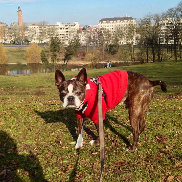 Bc922ca6 9d42 4ed3 adb1 eccfe2957bb7