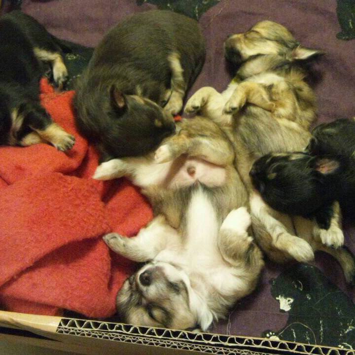 Bc93969d 2b64 46e2 99fc a529403d0bb8