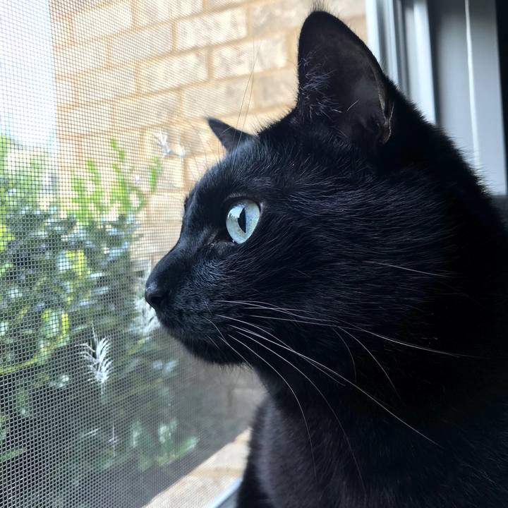 Bc94faba f476 4cb5 93dc 4f9ee676ad69