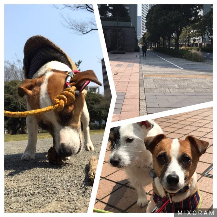 Bc953cdd dc13 409f a7ca 94d3ef3c9717