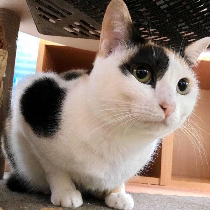 Bc955056 fd48 46cc acb5 b1fc23895a0c