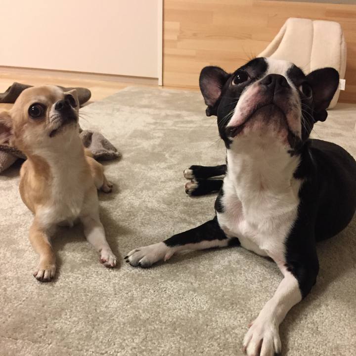 Bc956733 f585 47e1 a58c cac02bbaccb2