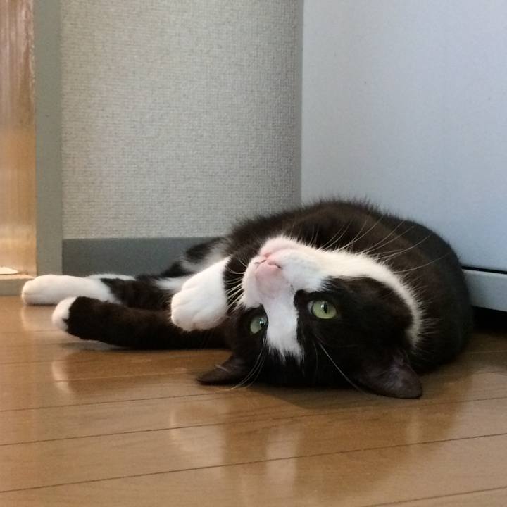 Bc956e4b 544f 4e86 820b 0b5c7c197c93