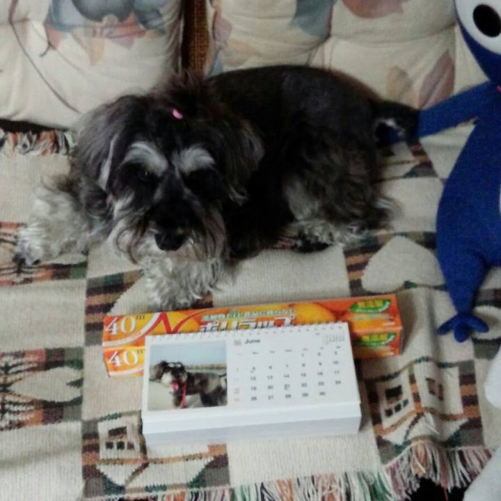 Bc959a99 3cdc 43f3 b154 348c185af17f