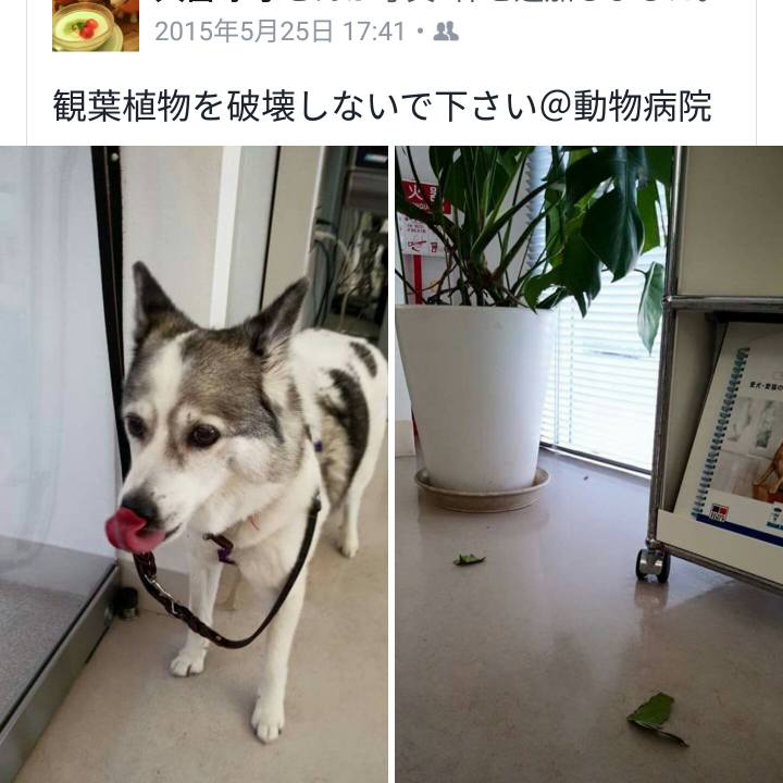 Bc95cfa6 d7a9 4aa6 ba52 9297d01f1136