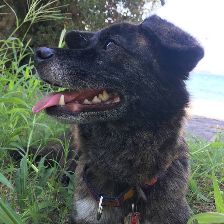 Bc95e9f5 7fae 4561 832e 9cf519c66155