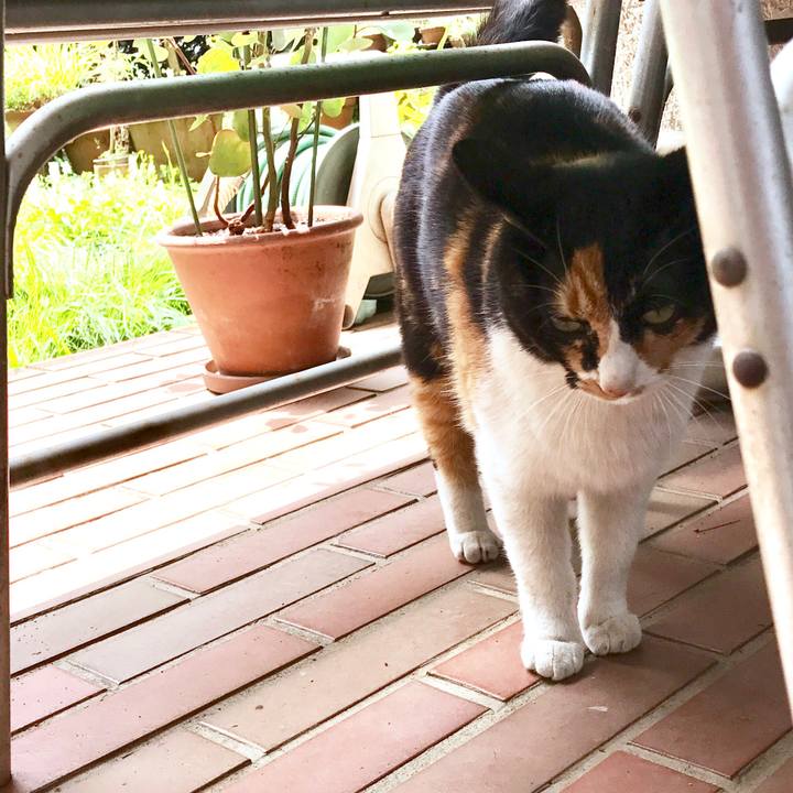 Bc965cef 4362 4e74 998e 7fff09bb92a7